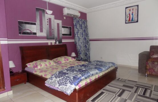 location Studio Américain Meublé 1