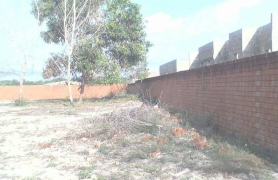 TERRAIN A VENDRE ASSINIE MAFIA KM 19